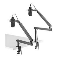 Inland low-profile microphone arm